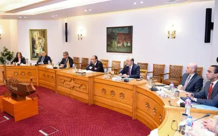 وزير الخارجية يؤكد التزام مصر بتقديم التسهيلات اللازمة للمستثمرين من ألمانيا