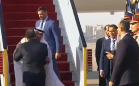 بث مباشر.. الرئيس السيسي يستقبل نظيره الإماراتي بمطار القاهرة