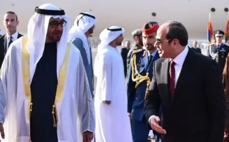 الرئيس السيسي ونظيره الإماراتي يؤكدان أهمية فتح مسارات جديدة للتعاون المشترك