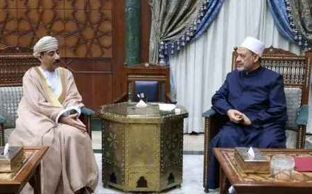 شيخ الأزهر: العالم العربي والإسلامي يمر بأوقات صعبة تتطلب التكاتف أكثر من أي وقت مضى