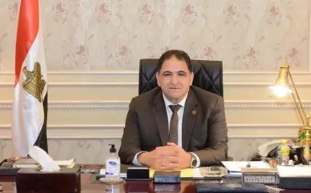 برلماني: انتصارات أكتوبر أعظم اللحظات الفارقة في تاريخ مصر الحديث وسجلها أبطالها بأحرف من نور