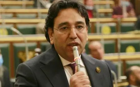 النائب أيمن محسب يحذر من انتشار مواقع وتطبيقات المراهنات.. ويؤكد: تهدد السلم الاجتماعي