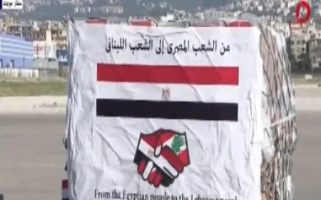 فيديو.. وصول شحنة من المساعدات المصرية الطبية والإغاثية إلى مطار بيروت