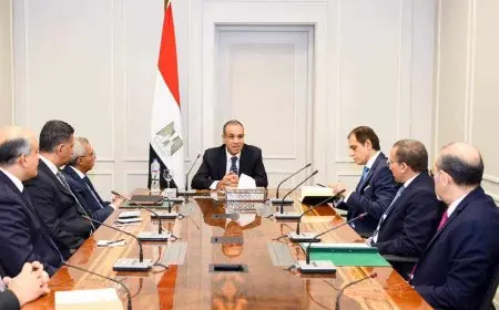 وزير الخارجية يوجه بإنشاء وحدة معنية بالاقتصاد المصري لجذب الاستثمارات الأجنبية المباشرة