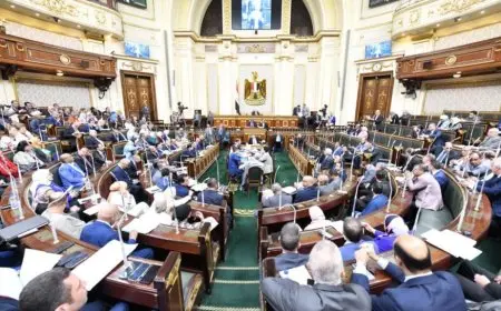 تحذير برلمانى من انتشار مواقع وتطبيقات المراهنات: تهدد السلم الاجتماعى