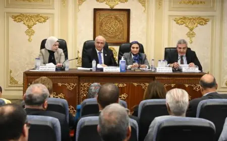 تعليم النواب تستعد لمناقشة مشروع قانون إنشاء المجلس الوطنى للتعليم