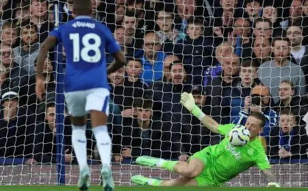 بيكفورد يحرم نيوكاسل من الفوز على إيفرتون