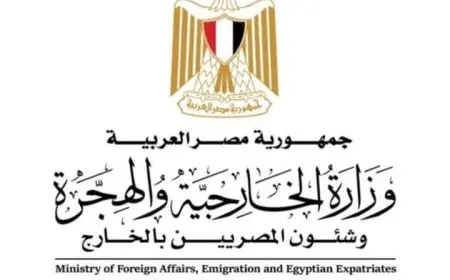 مصر ترحب بدعوة الرئيس الفرنسي لوقف تصدير السلاح إلى إسرائيل