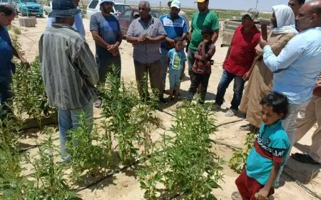 توجيه كافة قطاعات وزارة الزراعة للعمل الميداني وتقديم الخدمات للمزارعين بسيناء