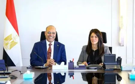 التدريب المهني على رأس الأولويات.. وزراء التخطيط والعمل يناقشون تطوير المنظومة