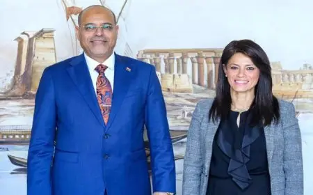 وزيرة التخطيط والتعاون تبحث مع وزير العمل الملفات المشتركة