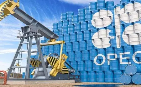 بعد تعهد “أوبك+” بخفض الإنتاج.. توقعات بارتفاع أسعار نقل النفط عالميا