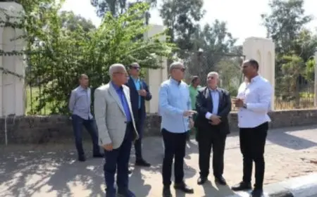 محافظ القاهرة والشرشابي يتفقدان أعمال رفع كفاءة الجزر الوسطى لطريق صلاح سالم