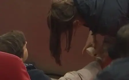 إصابة مدرب تولوز لدى احتفاله بهدف أمام ليل بالدوري الفرنسي