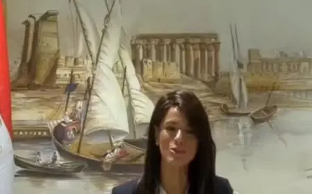 المشاط تشهد إطلاق دليل الحلول والممارسات الناجحة للاستثمار في مجال الطاقة المتجددة