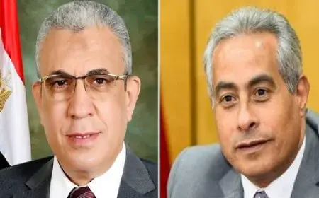 مجلس الدولة يمنع عودة وزير العمل السابق حسن شحاتة إلى رئاسة اتحاد العمال