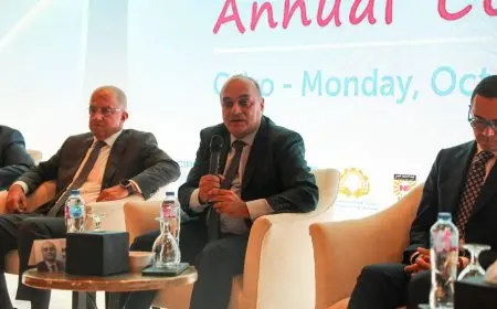نائب وزير المالية: مصر على أعتاب مرحلة جديدة من الاستقرار والنمو الاقتصادي يقودها القطاع الخاص