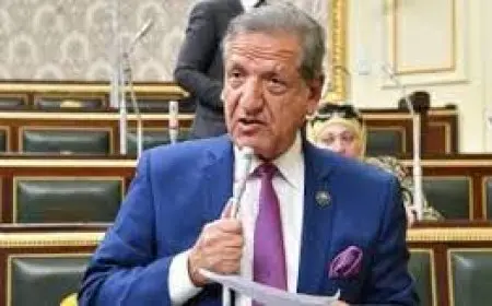 النائب فخري الفقي يستعرض تعديلات قانون صندوق مصر السيادي