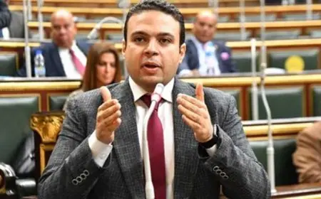 النائب عبد المنعم إمام يرفض نقل تبعية الصندوق السيادي لمجلس الوزراء