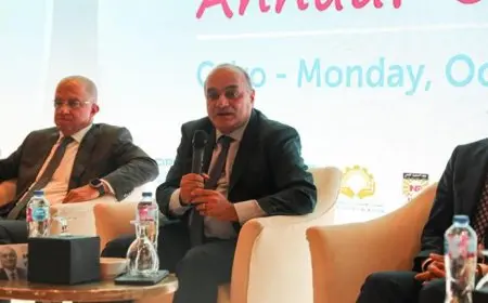 نائب وزير المالية: 4 مليارات دولار انخفاضا بالدين الخارجي على أجهزة الموازنة بنهاية يونيو 2024