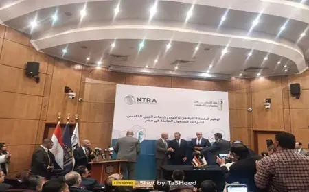 رسميا..أورنج وفودافون وإيه آند مصر يحصلون على رخص الجيل الخامس