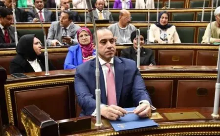 محمود فوزي: الصندوق السيادي ليس بوابة خلفية لبيع الأصول