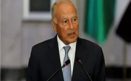 أبو الغيط يدعو لاستخدام سلاح المقاطعة والعقوبات ضد إسرائيل