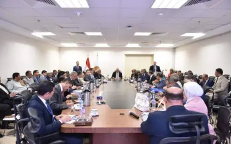 وزير العمل: حريصون على احترام الدستور والمعايير الدولية.. ومراعاة أنماط العمل الجديدة