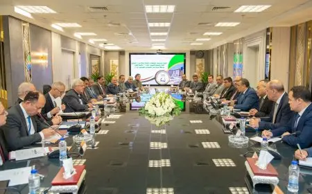 وزيرا الإنتاج الحربي والتعليم العالي يبحثان موضوعات التعاون المشترك