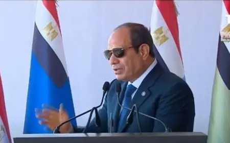 الرئيس السيسي: إقامة دولة فلسطينية ستغلق مرحلة من الصراع والكراهية