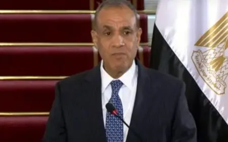 وزير الخارجية يؤكد ضرورة وقف العدوان الإسرائيلي على لبنان وغزة