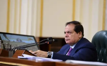 أبو العينين يوجه التحية لـ كامل الوزير في البرلمان: شَخّصت المشكلات صح