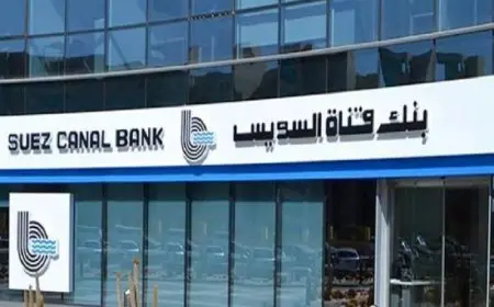 1.2 مليار جنيه من بنك قناة السويس لـ “راية لتكنولوجيا المعلومات” لدعم خططها التوسعية
