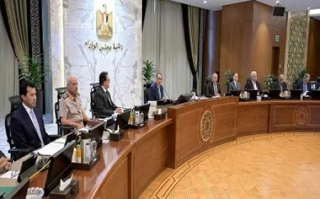 مجلس الوزراء يُوافق على إجراءات حوكمة منظومة استيراد سيارات ذوي الهمم