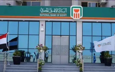 البنك الأهلي يفاجئ العملاء ويخفض سعر الفائدة 0.5% على الشهادتين الدولارية
