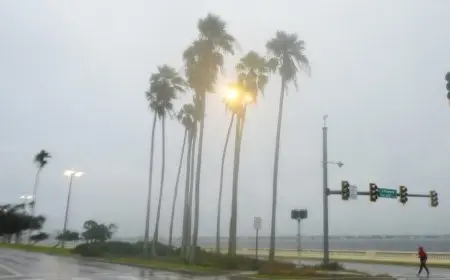 الإعصار ميلتون يضرب فلوريدا ويسبب أزمة لـ «بايدن».. تفاصيل