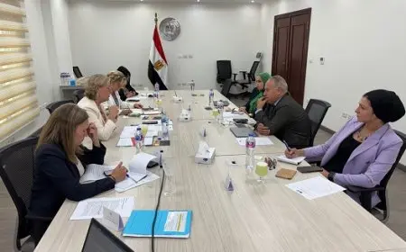 بدء المفاوضات بين مصر والاتحاد الأوروبي بشأن الشراكة الاستراتيجية في مجالات البحث والابتكار