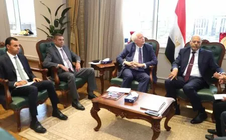 وزير العمل: توجيهات الرئيس السيسي تركز على دعم الاستثمار المحلي والأجنبي وتوفير بيئة عمل صالحة