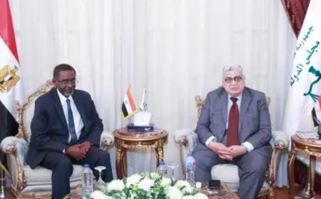 رئيس مجلس الدولة يبحث التعاون مع المدير الإقليمي لمجموعة البنك الدولي