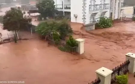 انهيار المنازل وتدمير خطوط الكهرباء.. كوارث سببها إعصار ميلتون فلوريدا