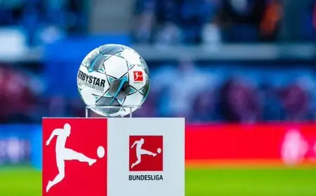 الاتحاد الألماني يرد على انتقادات الحكم المصاب