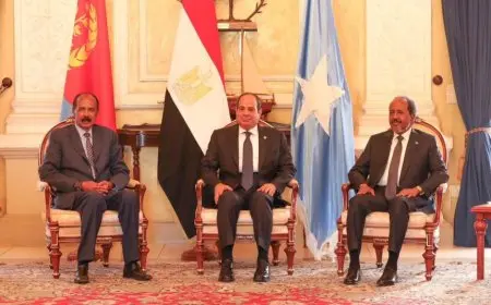 قمة ثلاثية في أسمرة تجمع قادة مصر والصومال وإريتريا