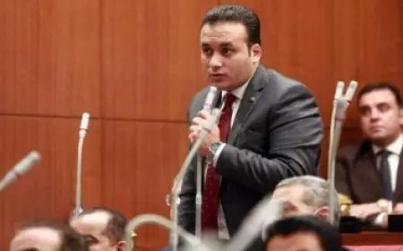 النائب عمرو فهمي: القمة الثلاثية في أسمرة ترسخ ركائز الاستقرار في منطقة القرن الإفريقي