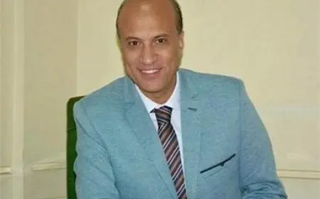 حسين الزناتي: على الاتحاد الأوروبي القيام بدور أكبر لضمان استقرار المنطقة