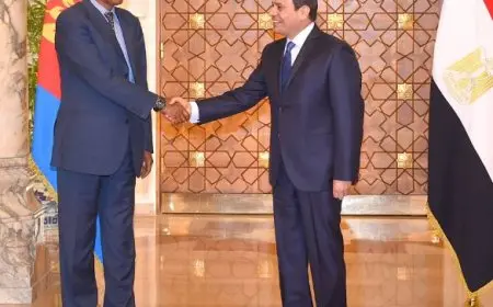 بعد اجتماع السيسي وأفورقي.. مصر وإريتريا تصدران بيانا مشتركا