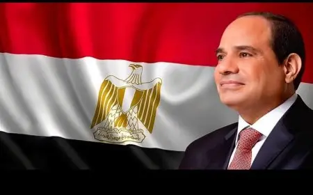 الرئيس السيسي يعود إلى أرض الوطن بعد زيارة لدولة إريتريا