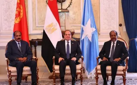 الرئيس السيسي ونظيره الصومالي يؤكدان ضرورة تمكين الجيش الصومالي الوطني من التصدي للإرهاب