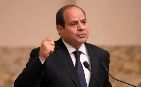 مصر والصومال يصدران إعلانا سياسيًا مشتركا من 7 بنود