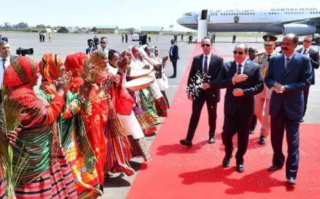 إنشاء لجنة مشتركة من وزراء الخارجية.. بيان ثلاثي لقادة مصر وإريتريا والصومال