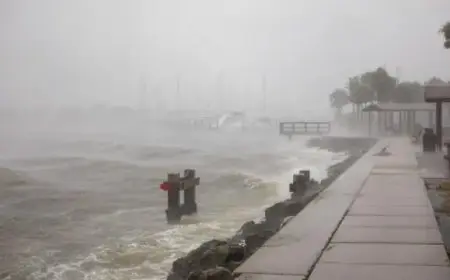 هل إعصار ميلتون يضرب مصر؟ .. الأرصاد توضح